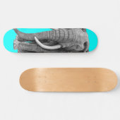 ブルゾウ – スケッチ(鉛筆) スケートボード (横)