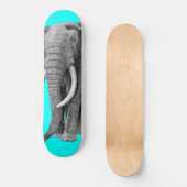 ブルゾウ – スケッチ(鉛筆) スケートボード (正面)