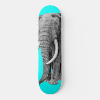 ブルゾウ – スケッチ（鉛筆） スケートボード