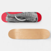 ブルゾウ – スケッチ（鉛筆） スケートボード (横)