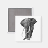 ブルゾウ – スケッチ(鉛筆) マグネット (正面/裏面)