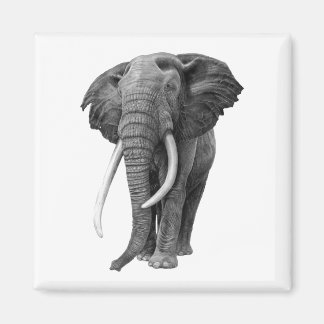 ブルゾウ – スケッチ（鉛筆） マグネット