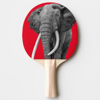 ブルゾウ – スケッチ（鉛筆） 卓球ラケット