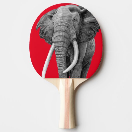 ブルゾウ – スケッチ（鉛筆） 卓球ラケット (正面)