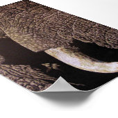 ブルゾウ ポスター (角)