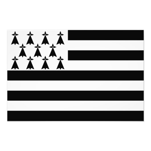 ブルターニュ愛国旗 フォトプリント            (正面)