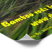 ブルッキーポスター ポスター (角)