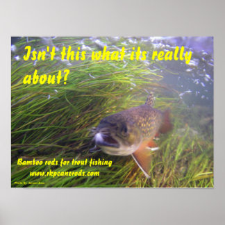 ブルッキーポスター ポスター