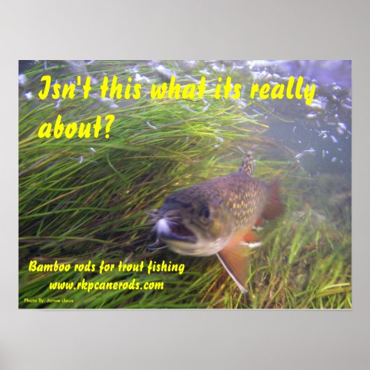 ブルッキーポスター ポスター (正面)