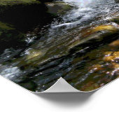 ブルックのライブ禅ポスター ポスター (角)