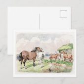ブルックの葉書に近い絵を描五頭の馬 ポストカード (正面/裏面)