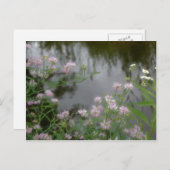 ブルックの近くのピンクのワイルドフラワーズ自然 ポストカード (正面/裏面)