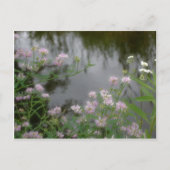 ブルックの近くのピンクのワイルドフラワーズ自然 ポストカード (正面)