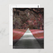 ブルックグリーンガーデンズ ポストカード (正面/裏面)