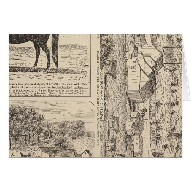 ブルックサイド酪農場 (正面横)