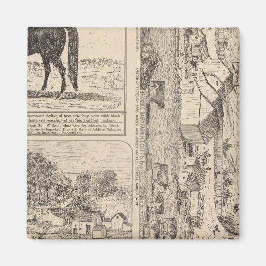 ブルックサイド酪農場 マグネット (正面)