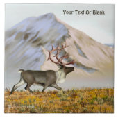 ブルックスレンジカリブー タイル (正面)