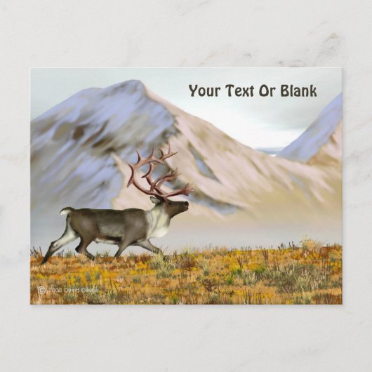 ブルックスレンジカリブー ポストカード (正面)