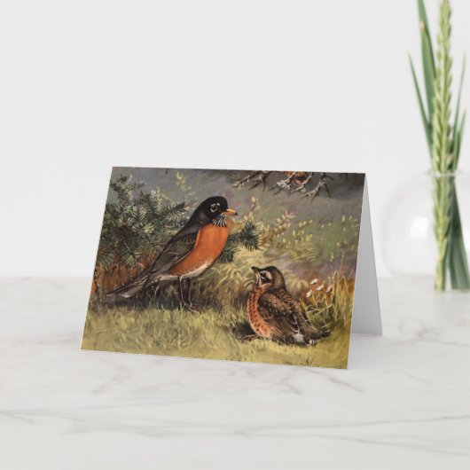 ブルックス・ロビンス カード (正面)