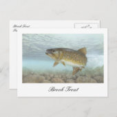 ブルックトラウトの絵はがき ポストカード (正面/裏面)
