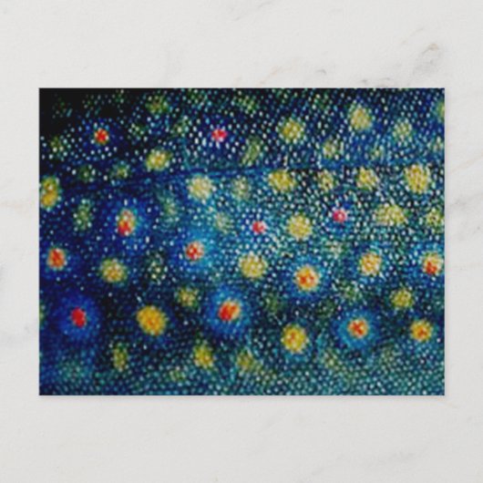 ブルックトラウトバイPatternWear© ポストカード (正面)