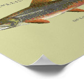 ブルックトラウト魚釣り ポスター (角)