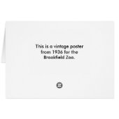 ブルックフィールド動物園 – パンサー動揺して- (裏面横)