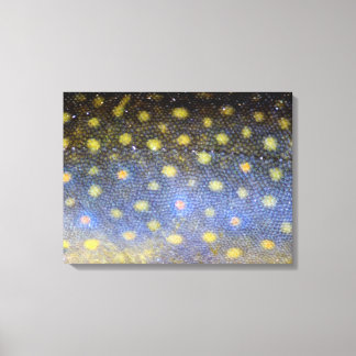 ブルックマスはかりで測写真 キャンバスプリント