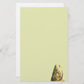 ブルックマス漁師 便箋 (正面/裏面)