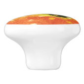 ブルックマス釣り魚類学者アングラー セラミックノブ (側面)