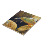 ブルックマス タイル (側面)