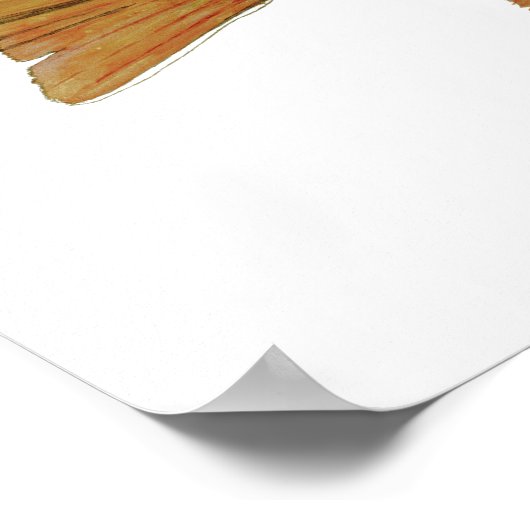 ブルックマス ポスター (角)