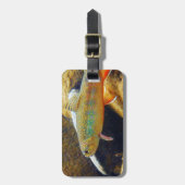 ブルックマス ラゲッジタグ (正面縦)