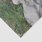 ブルックリンズガーデンパーティーワイマラナードッグ  薄葉紙 (詳細)