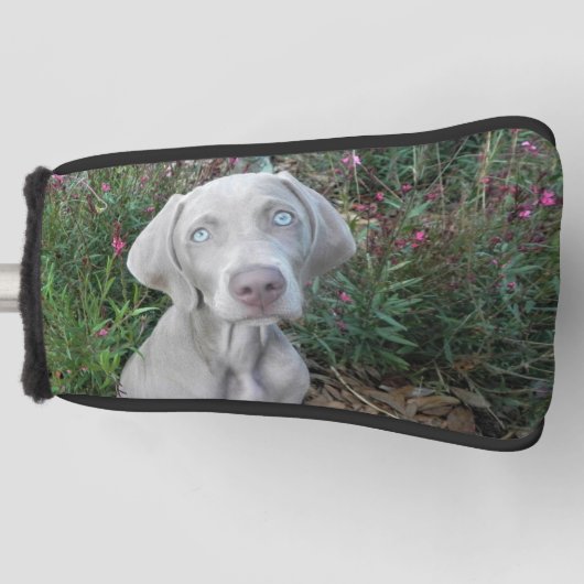 ブルックリンズワイマラナードッグゴルフパターヘッドカバー ゴルフヘッドカバー (正面)