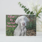ブルックリンズ誕生日ガーデンパーティーワイマランダードッグ サンキューカード (スタンド正面)