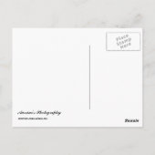 ブルックリンブリッジ ポストカード (裏面)