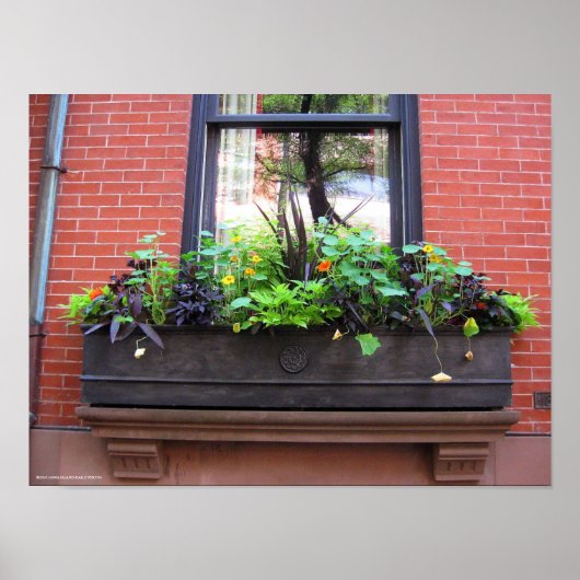 ブルックリン窓 ポスター (正面)