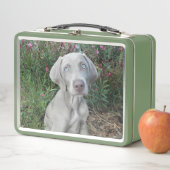 ブルックリン・ザ・ワイマラン・ドッグ メタルランチボックス (インサイチュ)