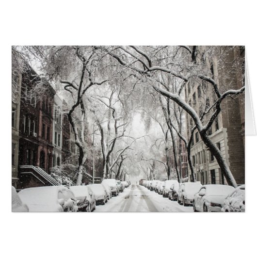 ブルックリンNYのアーバンクリスマススススノー (正面横)