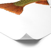 ブルック・トラウト・アート・ポスター ポスター (角)