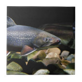 ブルック・トラウト タイル (正面)