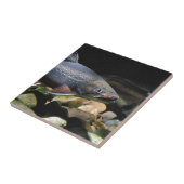 ブルック・トラウト タイル (側面)