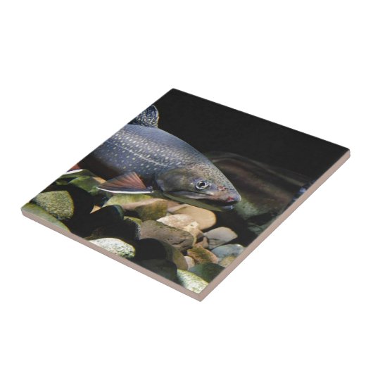 ブルック・トラウト タイル (側面)