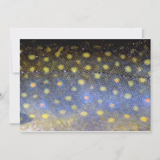 ブルック·トラウト·フィッシュ·はかりで測パーティー 招待状 (正面)