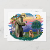 ブルッセル・グリフォン(茶色/赤色) ポストカード (正面/裏面)