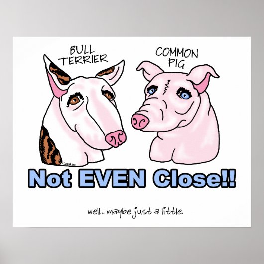 ブルテリアではない豚 ポスター (正面)