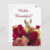 ブルテリアとバラグリーティング – Hello Beautiful ポストカード (正面/裏面)