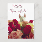 ブルテリアとバラグリーティング – Hello Beautiful ポストカード (正面)
