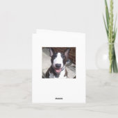 ブルテリアのクリスマスカード シーズンカード (裏面)